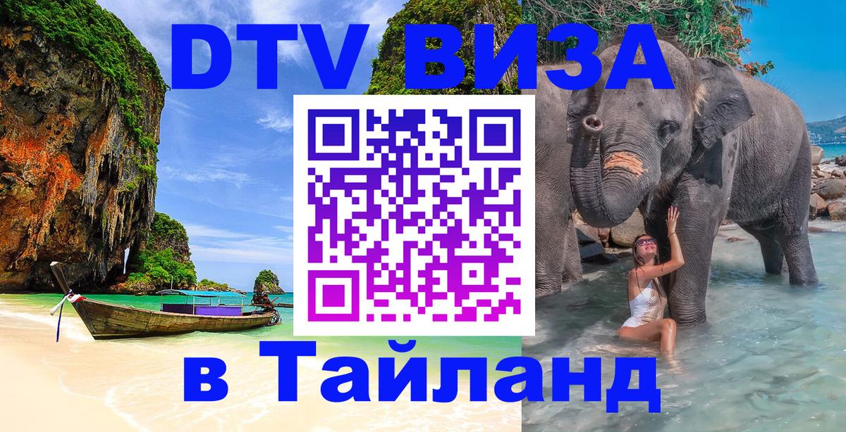 Оформление DTV визы под ключ: стоимость и тарифы, только загранпаспорт - 21.11.2025 